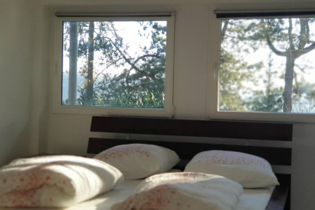 Haus Am Hang, Garden Dream Westerburg (Rhineland-Palatinate)